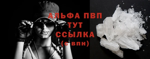 прущие грибы Липки