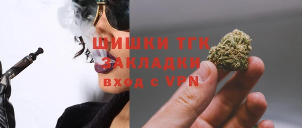 прущие грибы Липки