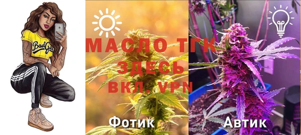 прущие грибы Липки