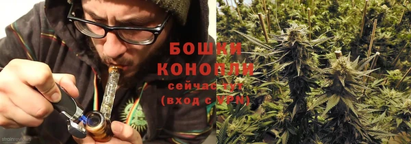 прущие грибы Липки
