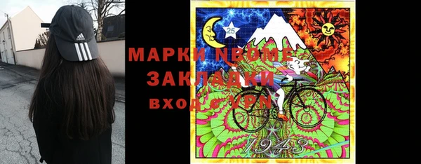 прущие грибы Липки