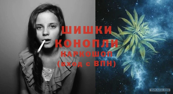 прущие грибы Липки